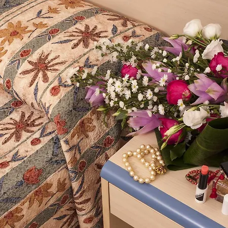 Hotel Brig 3*